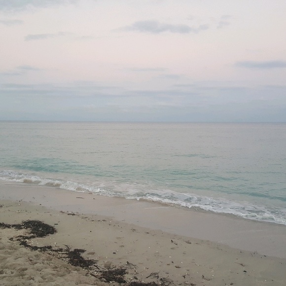 Meet your Posher, Ganee - Picture 1 of 1